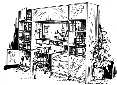 HI-5038-Bookcase-500.gif (55952 bytes)